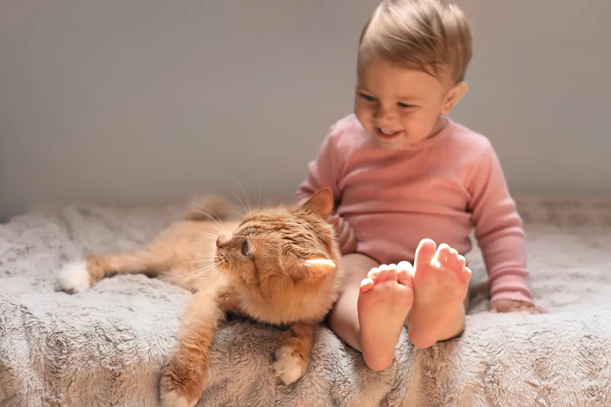 empathy building activities for kids