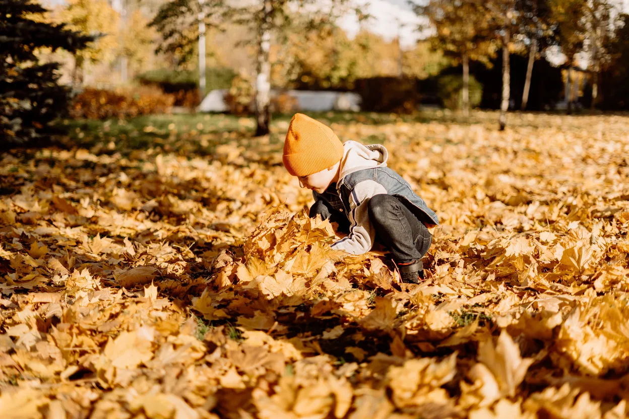 fall toddler activities