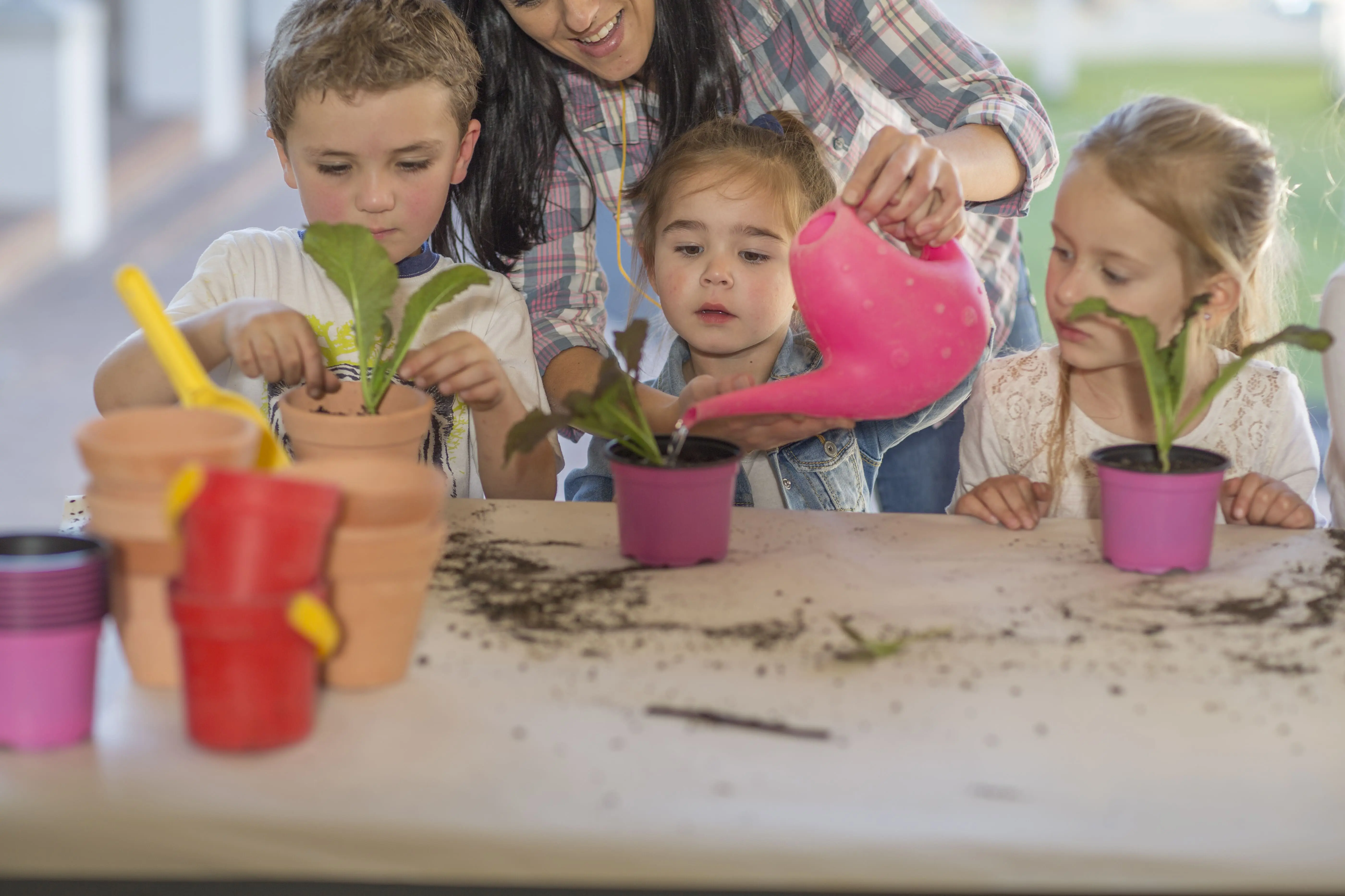 gardening activities for preschoolers