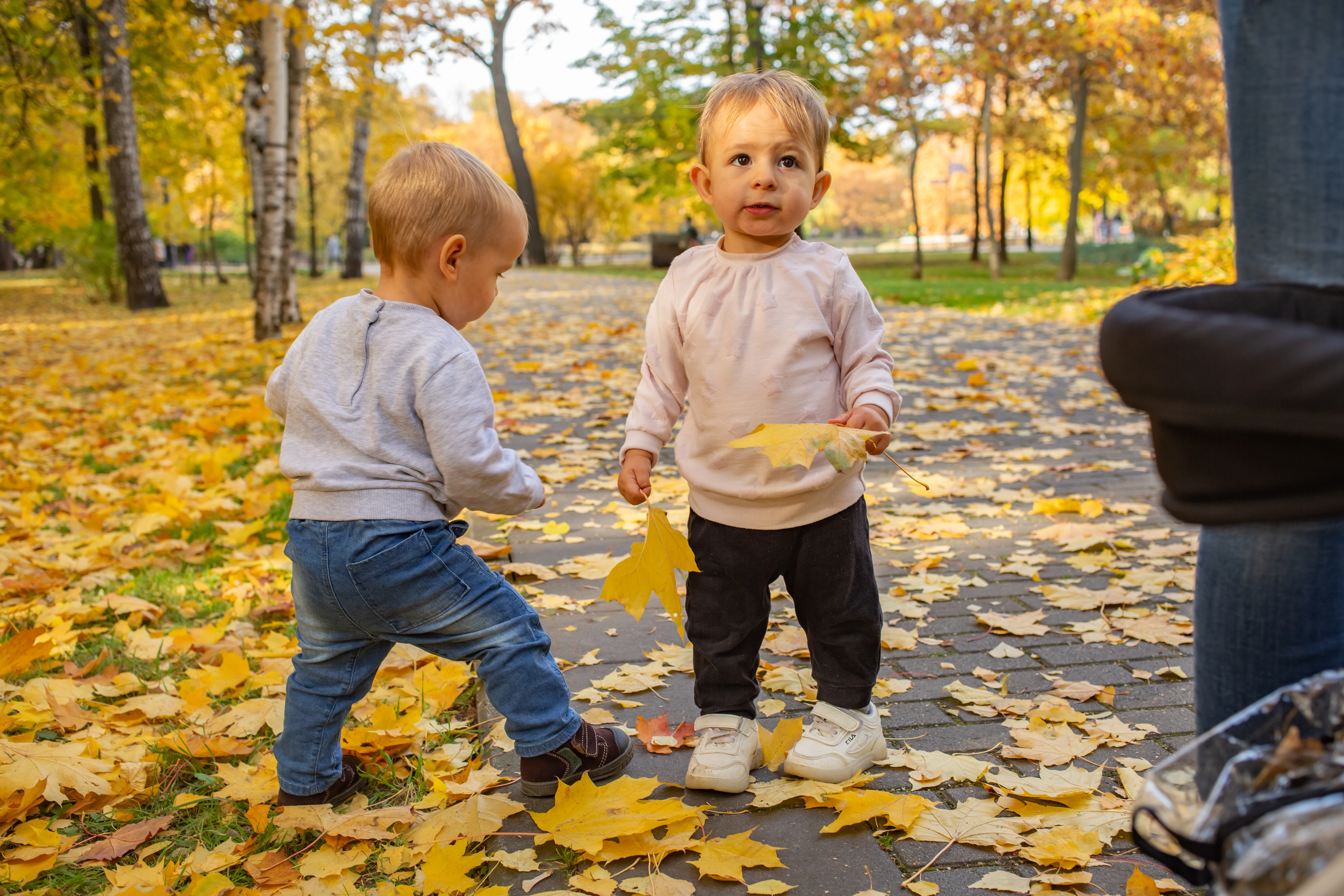 preschool nature activities