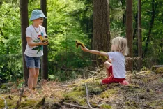 nature activities for kids