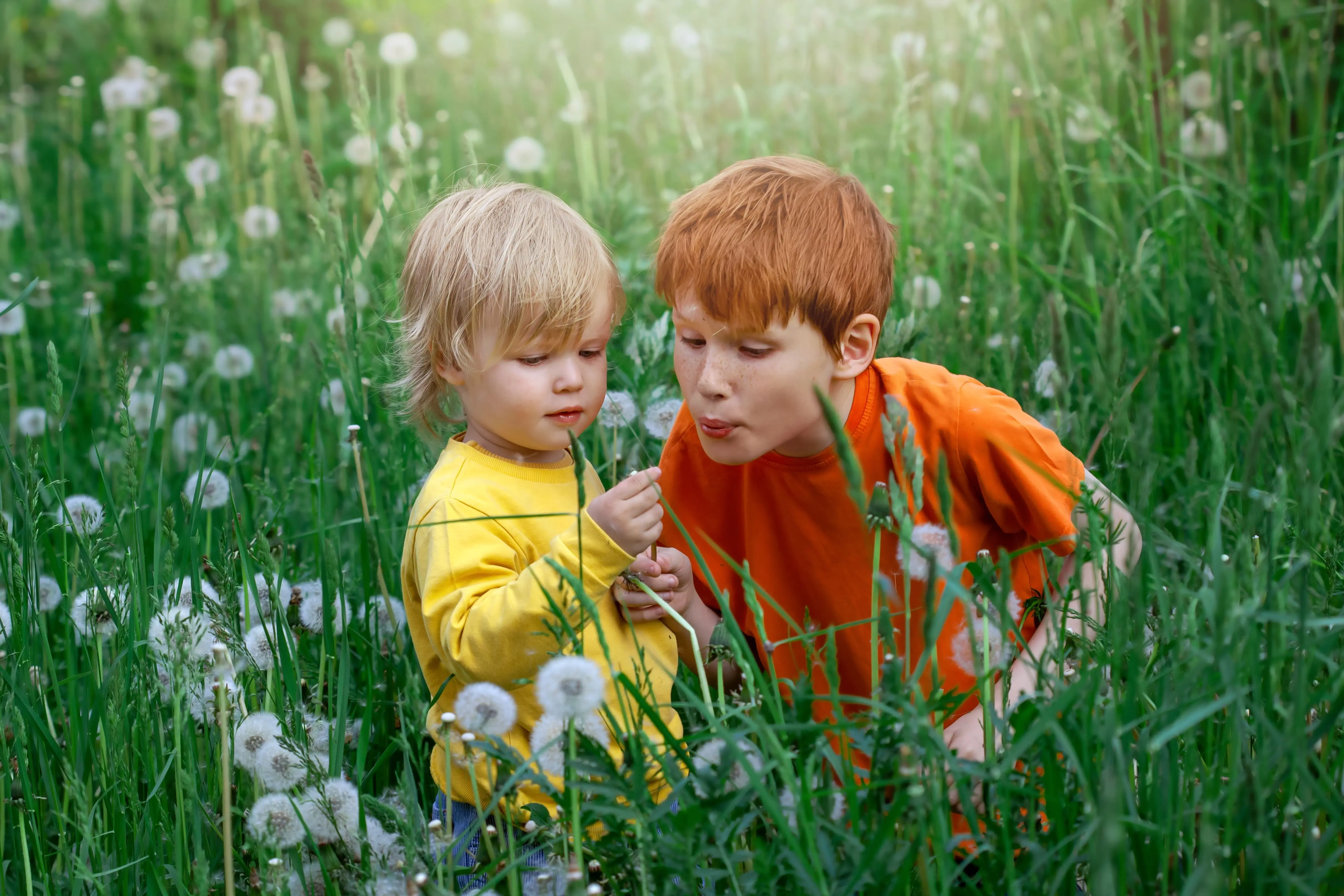 toddler emotional regulation activities